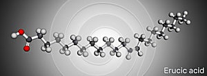 Erucic acid molecule. It is docosenoic acid, monounsaturated omega-9 fatty acid. Molecular model. 3D rendering