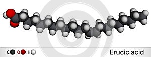 Erucic acid molecule. It is docosenoic acid, monounsaturated omega-9 fatty acid. Molecular model. 3D rendering