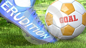 Erudition and a life goal - pictured as word Erudition on a football shoe to symbolize that Erudition can impact a goal and is a