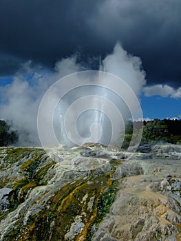 Erupting geyser in Rotorua photo