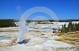 Erupting geyser in Yellowstone, Wyoming