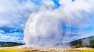 Eruption of the famous Old Faithful Geyser, a Cone Geyser in the Upper Geyser Basin, in Yellowstone National Park