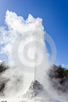 eruption of the Lady Knox Geyser, Wai-O-Tapu Thermal Wonderland, Rotorua, New Zealand