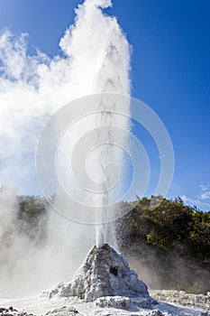 eruption of the Lady Knox Geyser, Wai-O-Tapu Thermal Wonderland, Rotorua, New Zealand