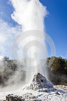 eruption of the Lady Knox Geyser, Wai-O-Tapu Thermal Wonderland, Rotorua, New Zealand