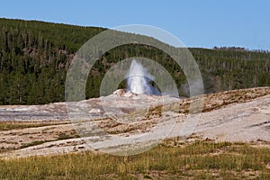 Eruption of Old Faithful geyser at Yellowstone national park