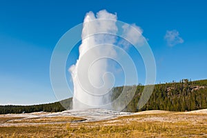 Eruption of Old Faithful geyser at Yellowstone National Park