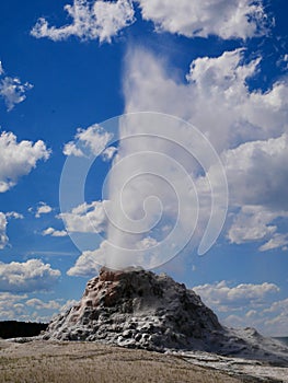 Eruption of White Dome Geyser in Yellowstone National Park, Wyoming, USA.