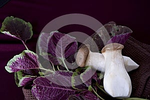 Eryngii mushroom with red spinach photo