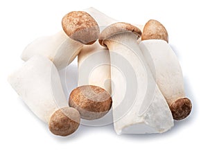 Eryngii mushrooms isolated on white background. Close-up