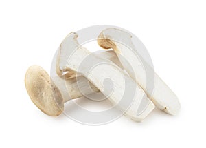 eryngii mushrooms placed on a white background