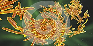 Erysipelothrix bacteria, 3D illustration