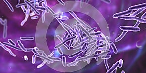 Erysipelothrix bacteria, 3D illustration