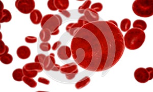 Erythrocyte, red blood cells, anatomy concept photo