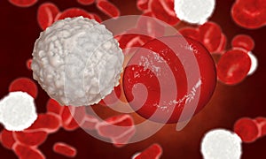 Erythrocyte, red blood cells, anatomy concept photo