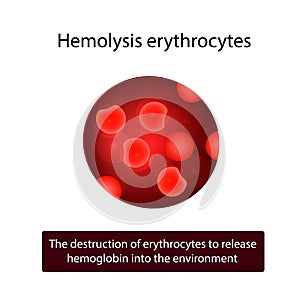 Erythrocytes. Hemolysis of red blood cells. Vector illustration on isolated background photo