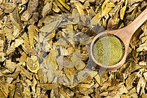 Erythroxylum coca - Coca leaves and flour