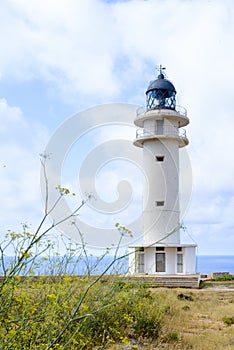 Es Cap de Barbaria`s lighthouse Formentera,Balearic Islands photo