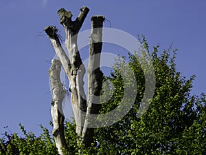 Esbjerg city in denmark