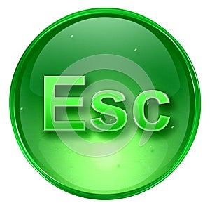 Esc icon green