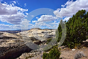 Escalante Grand Staircase