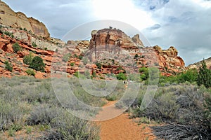 Escalante National Monument Southwest Desert Landscape at Calf Creek Trail, Utah, USA