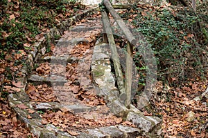 Escalera cubierta de hojas secas en el Preventorio de Alcoy photo