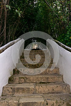 The Escalera del Agua stairs in the Generalife Palace and gardens in the Alhambra