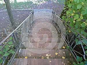 Downstairs in a parc. photo