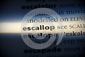 Escallop photo