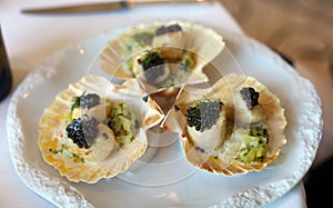 Escallops with caviar in special sauce premium meal, luxury meal unique cuisine in VIP gastronomy restaurant with world class chef