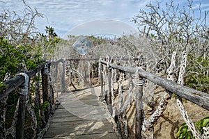 Escape the Ordinary on Boardwalk Trail Through Desert Scrub