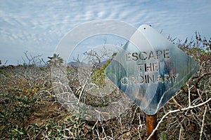 Escape the Ordinary Sign in Coastal Desert Scrub, Baja California, Mexico