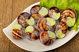 Escargot