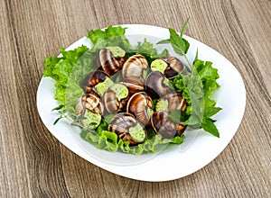 Escargot