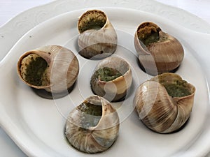 Escargot alla Bourguignonne cooked snails italian and french dish