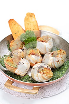 Escargot au gratin in metal serving pan photo