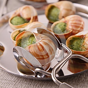 Escargot, bourgogne snailn