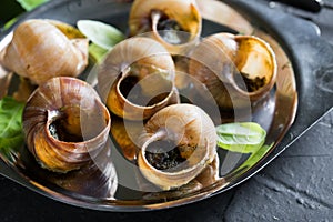 Escargot. Burgundy snails with garlic butter