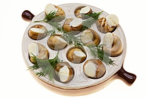 Escargot with butter and spices in a frying pan, a French delicacy of snails.