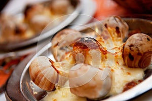 Escargot With Cheese