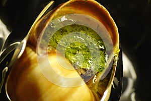 Escargot closeup photo