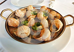 Escargot served