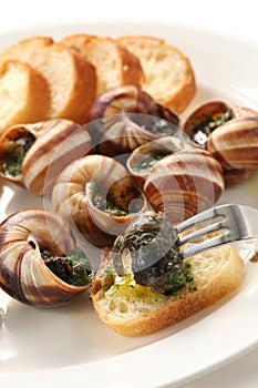 Escargot, snails a la bourguignonne