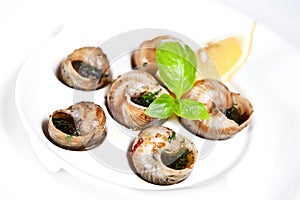 Escargots