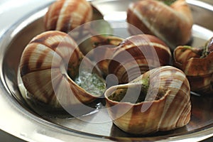 Escargots de Bourgogne