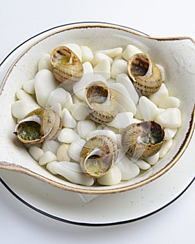 Escargots de Bourgogne. Fried snails with garlic butter, gourmet dish, in traditional ceramic plate