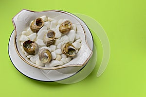 Escargots de Bourgogne. Fried snails with garlic butter, gourmet dish, in traditional ceramic plate