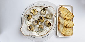 Escargots de Bourgogne. Fried snails with garlic butter, gourmet dish, in traditional ceramic plate