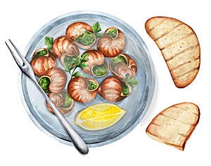 Escargots de Bourgogne with parsley and bread. Watercolor illustration